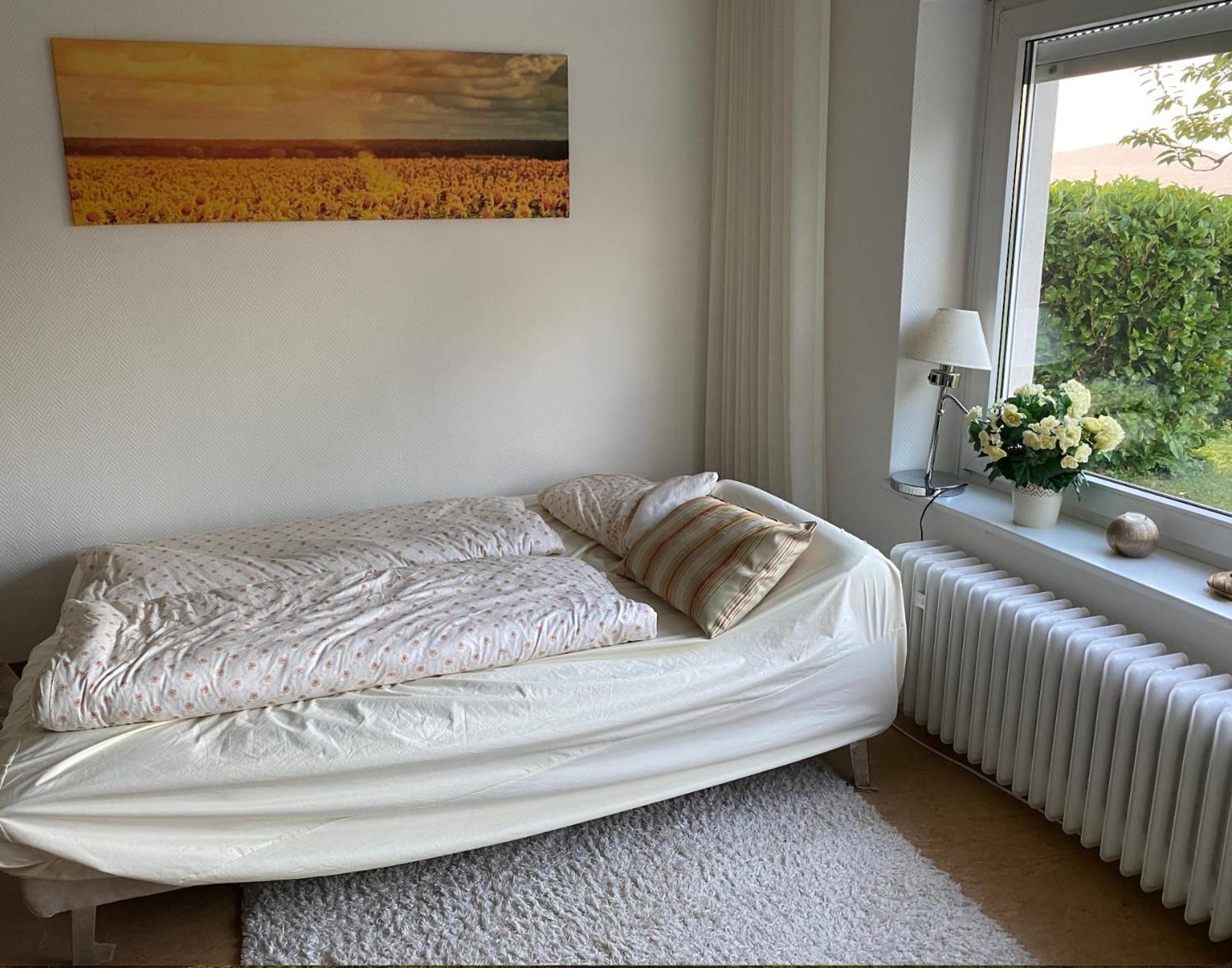 Ferienwohnung Paradies Nollingen Eksteriør bilde